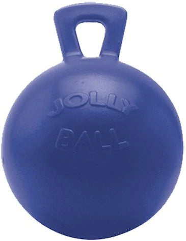 JOLLY BALL BLUEBERRY 10"