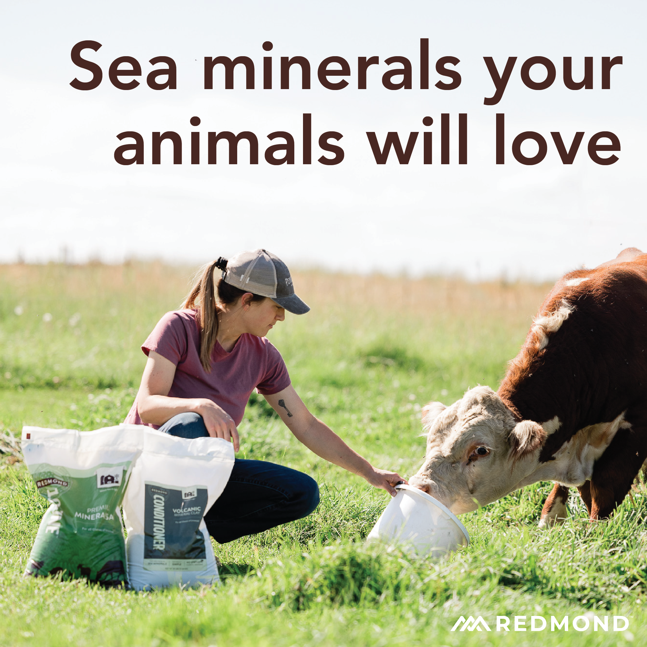 10 Fine - Premium Mineral Salt