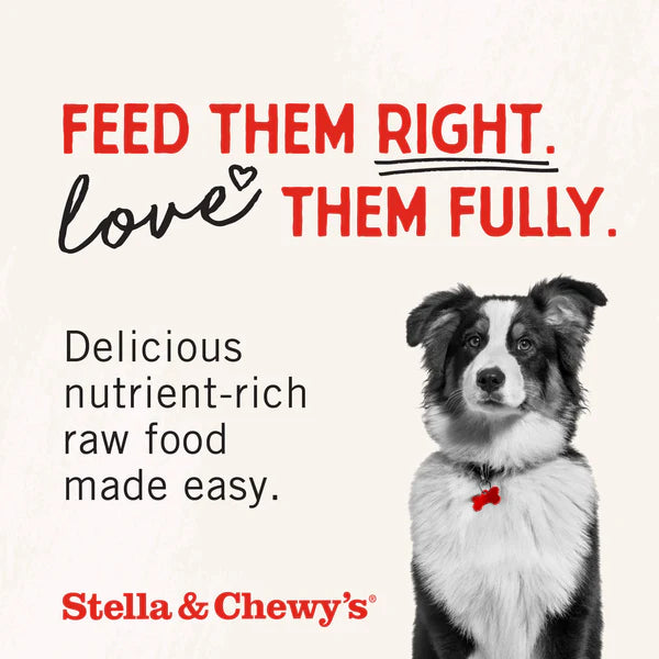 Stella & Chewy's Free Range Raw Blend Kibble for Dogs 22lb