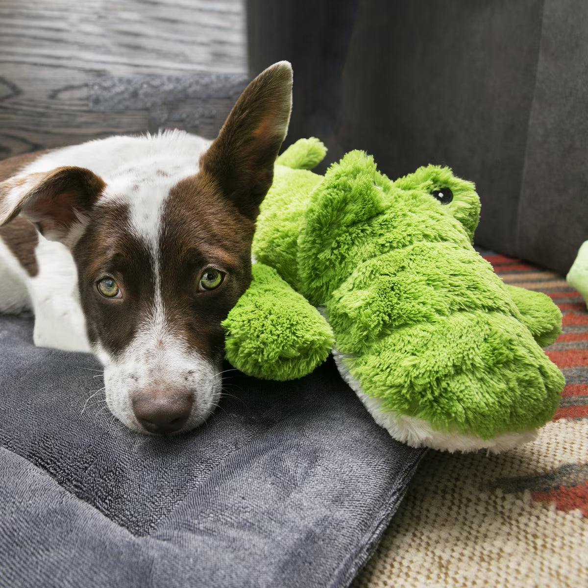 Kong Cozie Jumbo Ali Alligator Plush Dog Toy XL