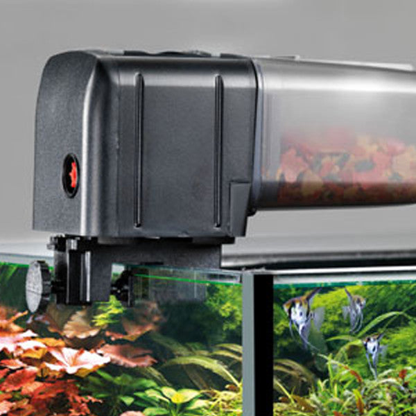 Auto fish feeder