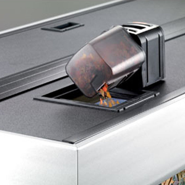 Auto fish feeder