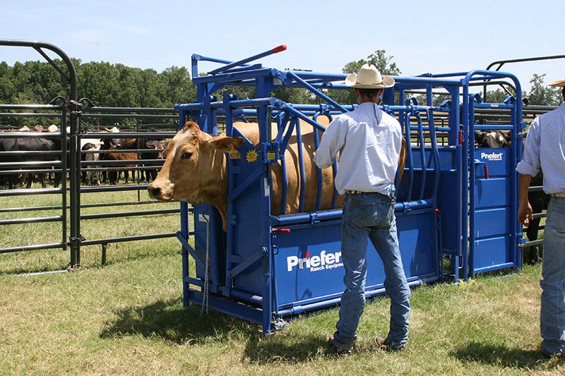 Priefert Artificial Insemination/Palpation Cage