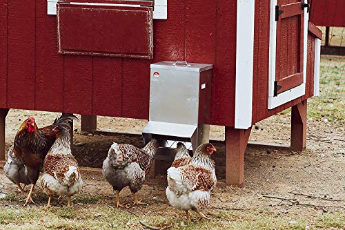 RentACoop Galvanized Chicken Tough Feeder - 25lb