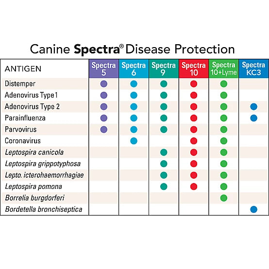 Canine Spectra 10 Plus Lime Vaccine for Dogs, 1 Dose