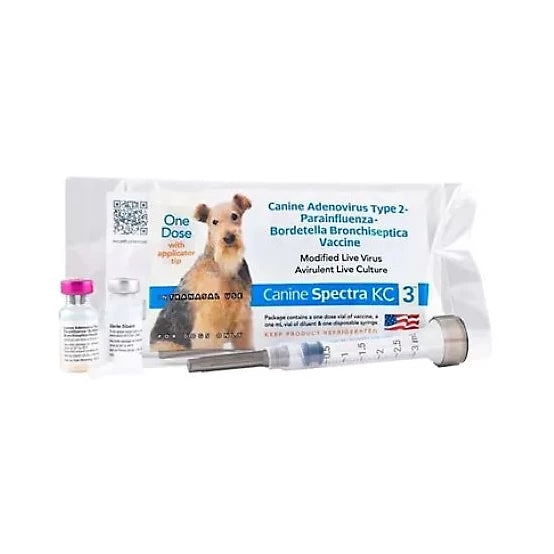 Canine Spectra KC3, Bordetella Intranasal Vaccine for Dogs, 1 Dose