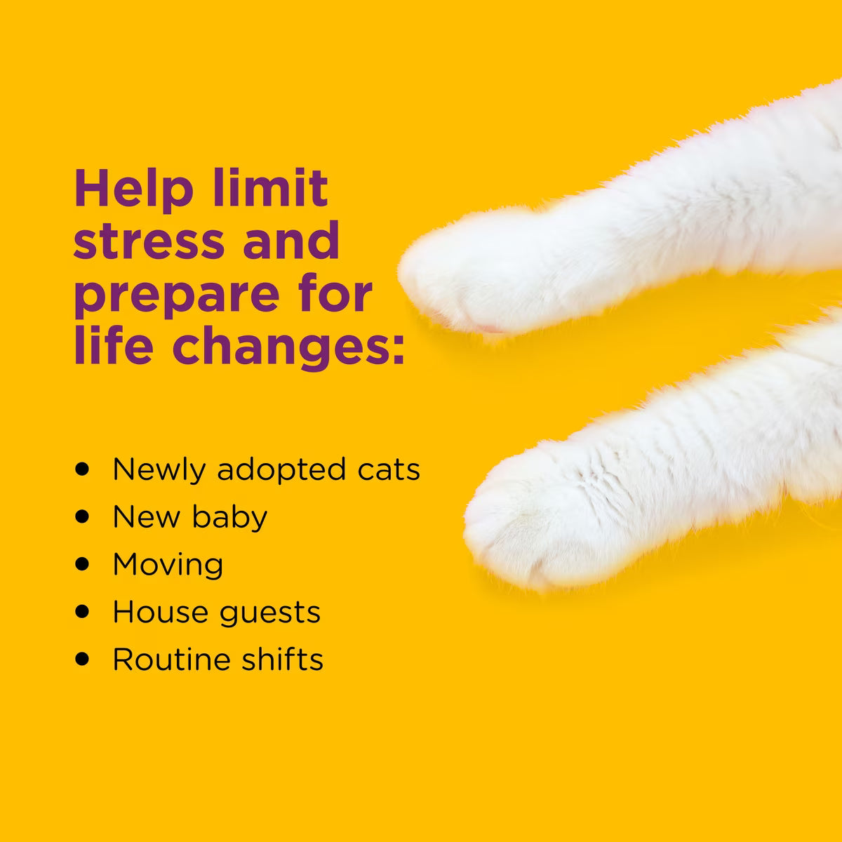 Comfort Zone 30 Day Starter Kit Cat Calming Pheromone Diffuser & Refill