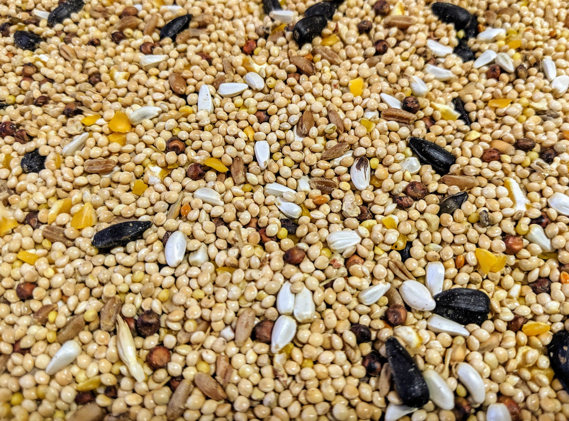 WILDBIRD SEED 40 LB