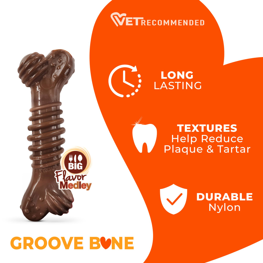 Nylabone Power Dog Chew Groove Dental Bone Medium