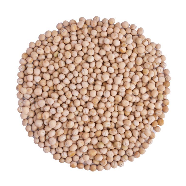 Scratch and Peck Organic Peas 10lb