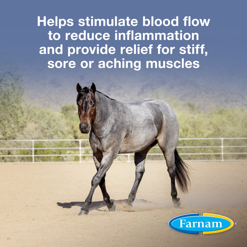 Farnam Vetrolin Liniment for Horses