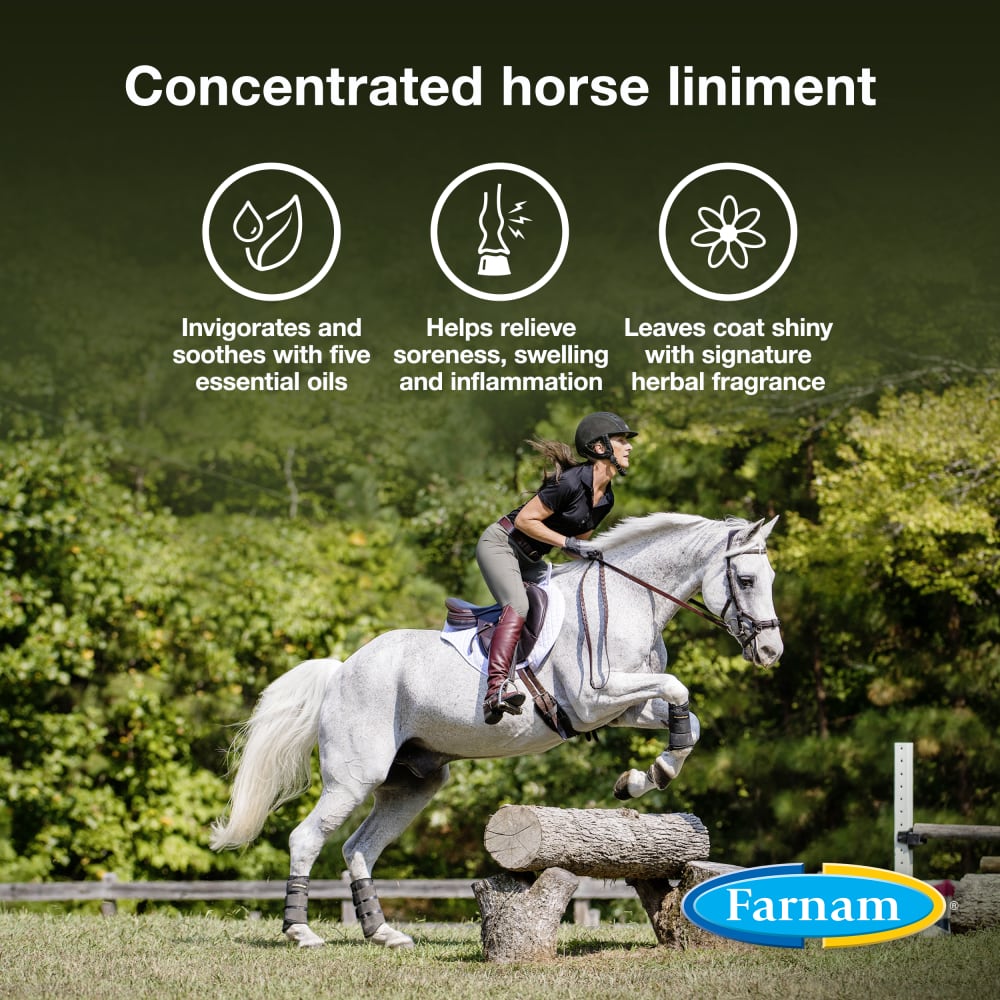 Farnam Vetrolin Liniment for Horses