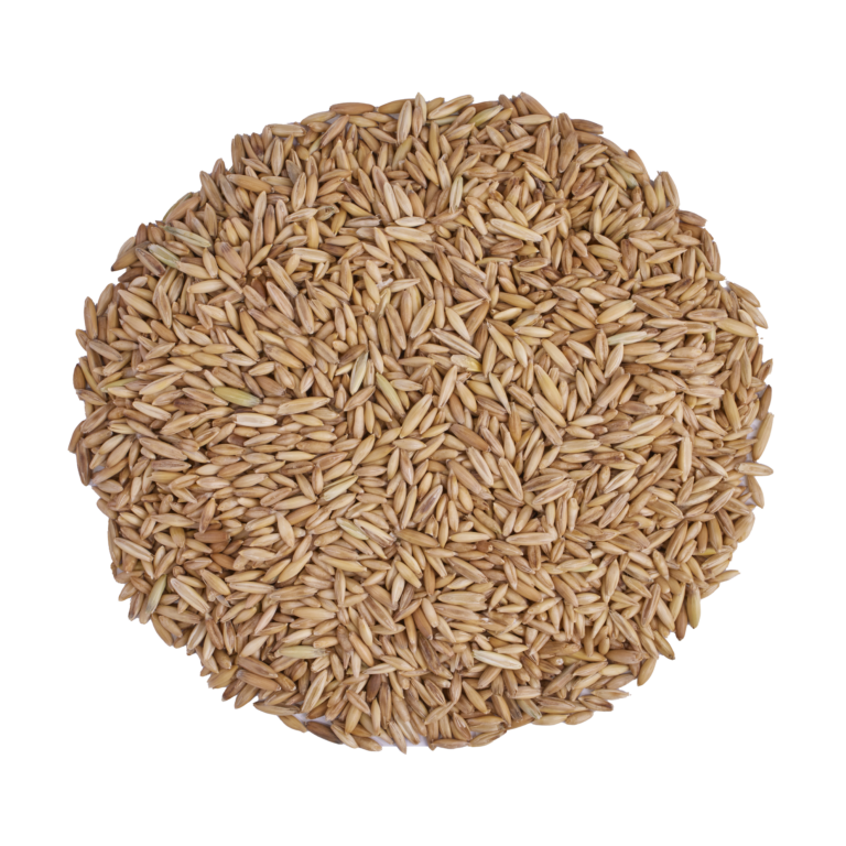 Scratch and Peck Organic Barley 10lb