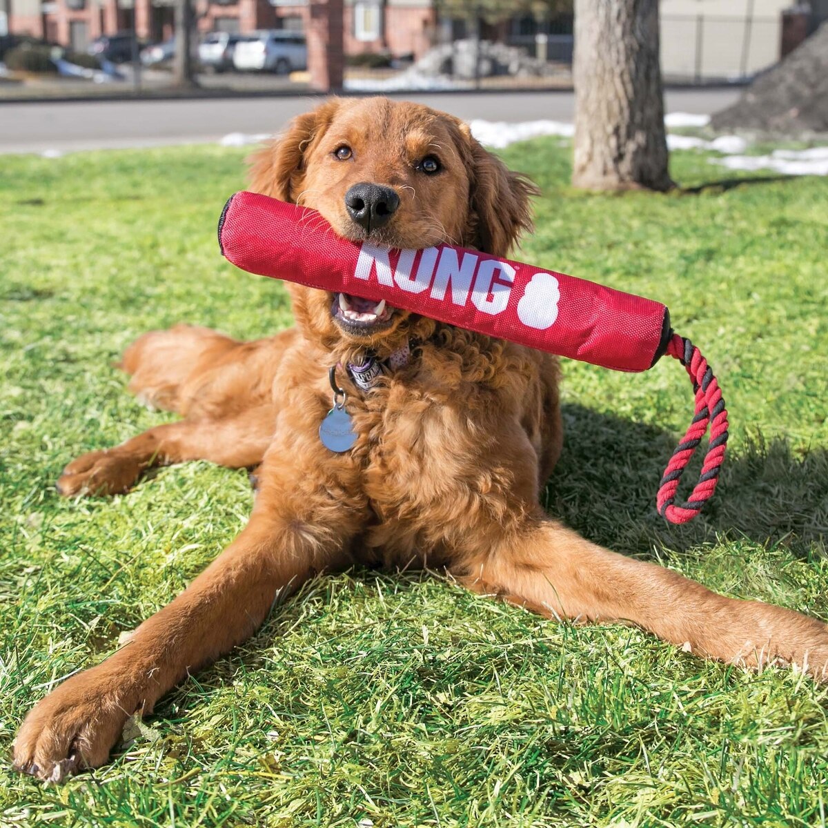 Kong Signature Stick with Rope Dog Toy Medium
