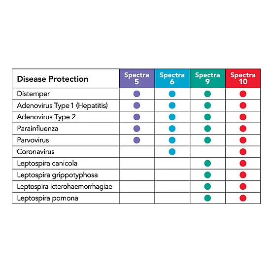 Canine Spectra 5 Vaccine for Dogs, 1 Dose