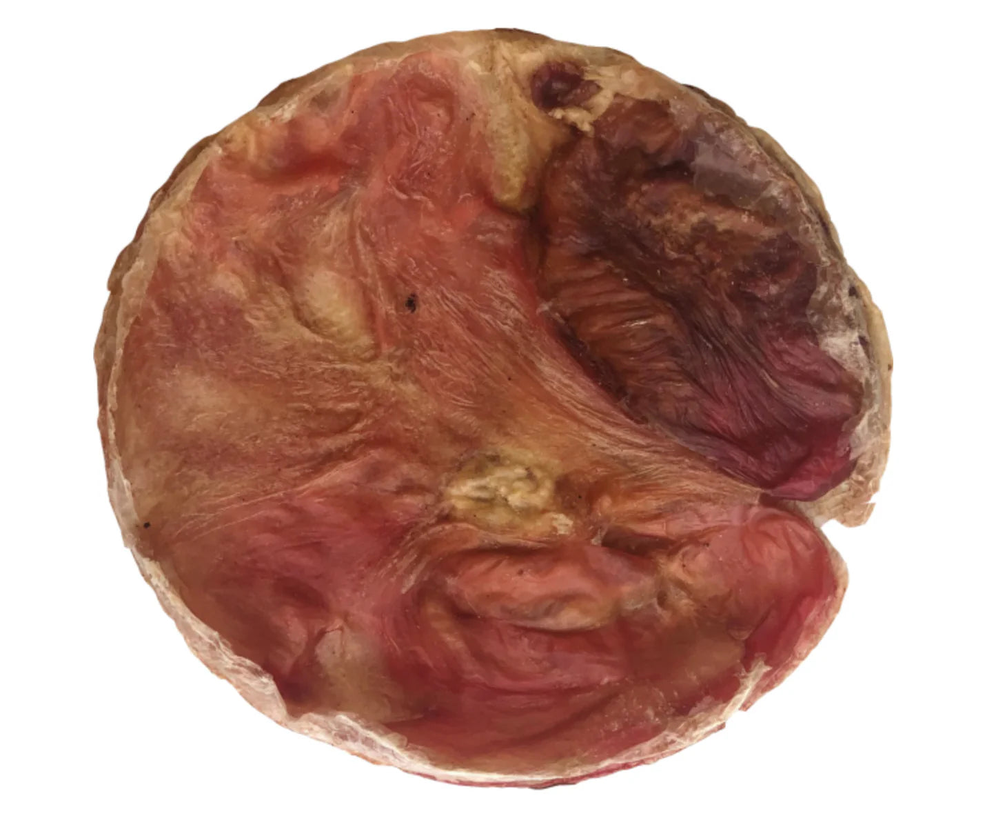 HR Furs-Bee BeefBladder disk7"