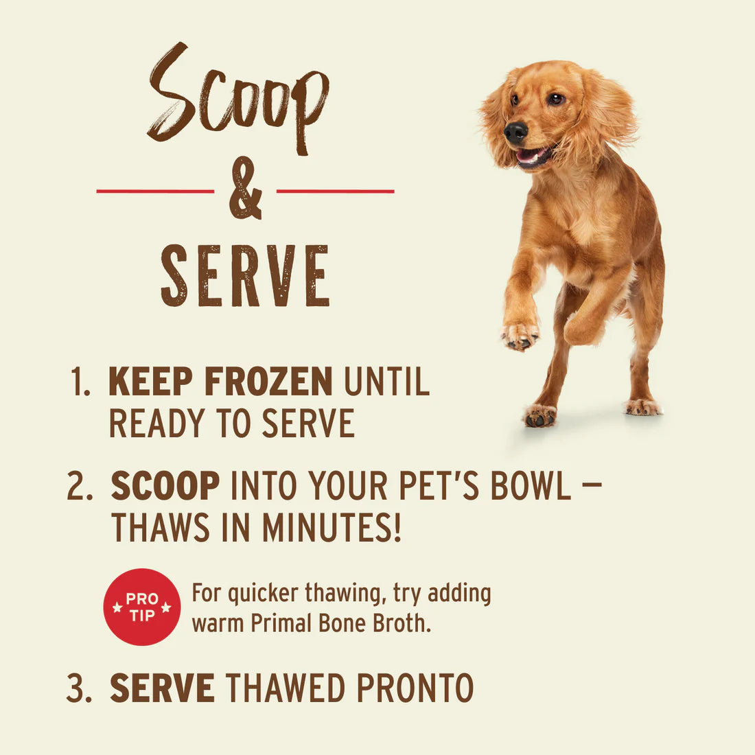 Primal Frozen Raw Scoopable Pronto Beef Recipe for Dogs 4lb