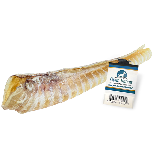 Home Range  Beef Trachea Dog Treat 12"