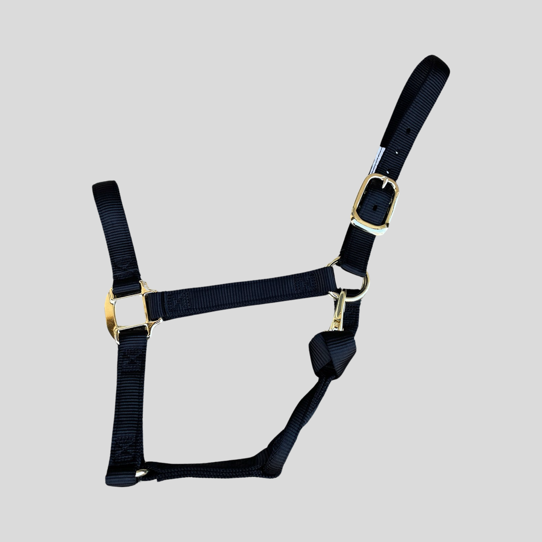 Halter Nylon with Replaceable Throat Snap, Size Arabian #26350