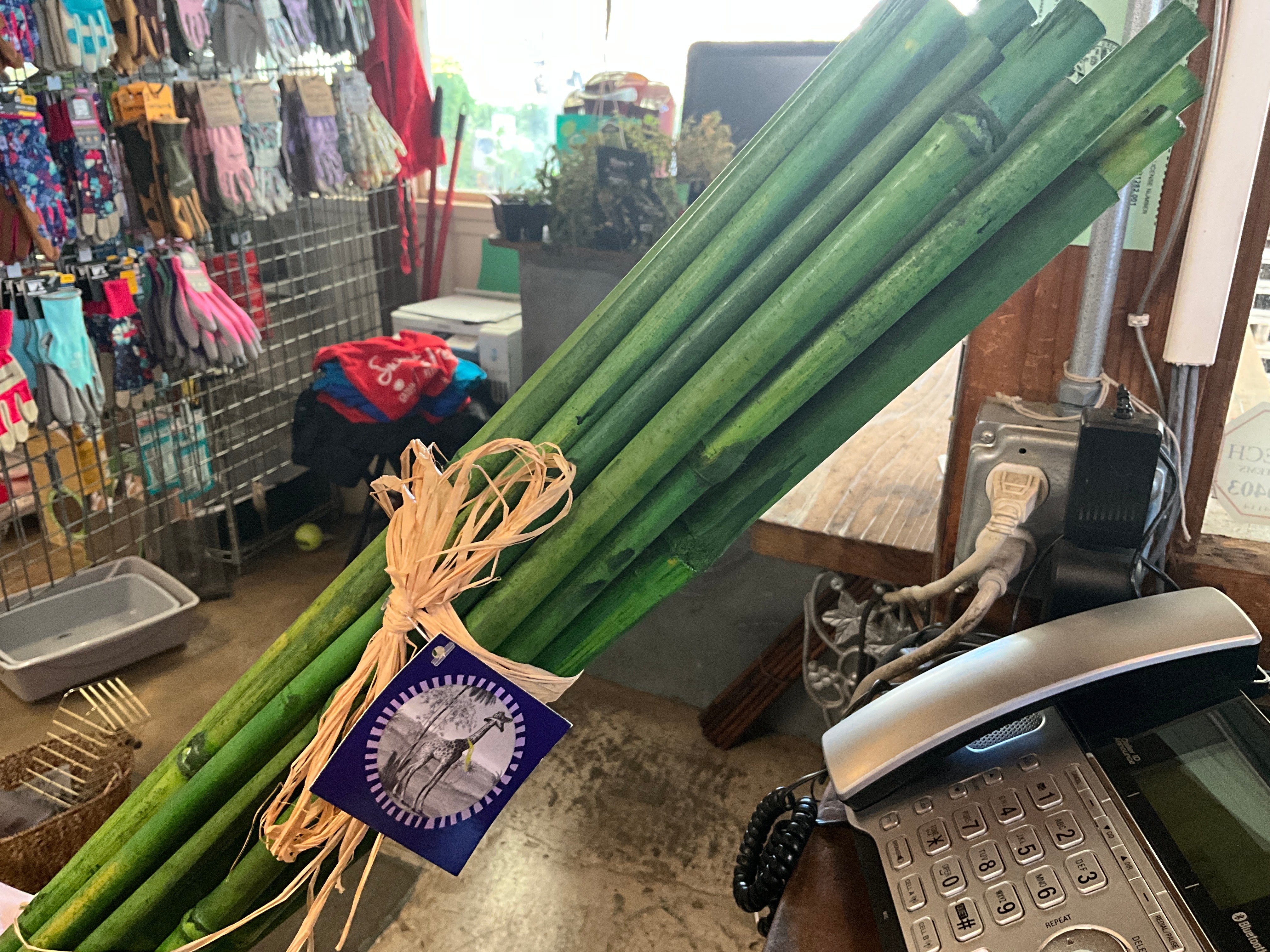 36” Bamboo Stakes