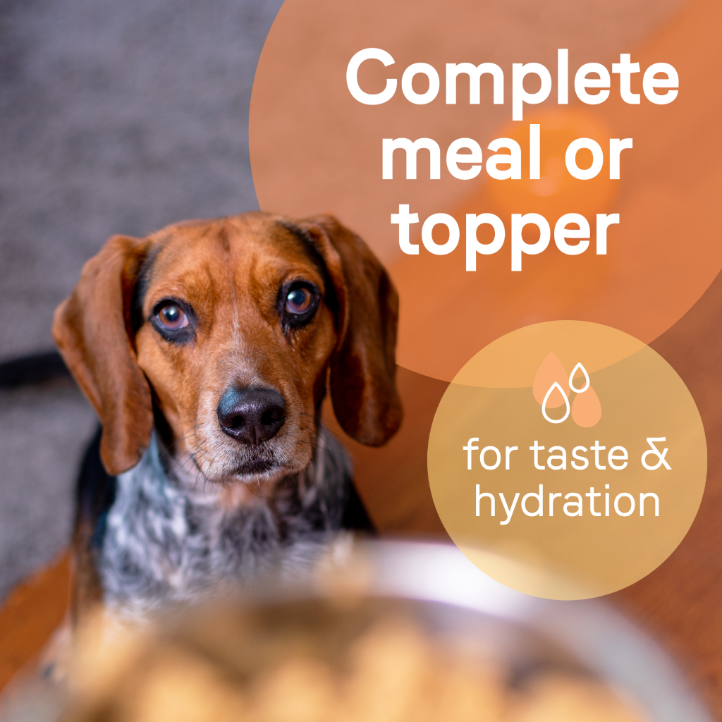 Canidae Multi-Protein Formula with Chicken, Lamb & Fish Canned Dog Food 13oz