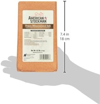North American Salt Trace Mineral Block 4lb