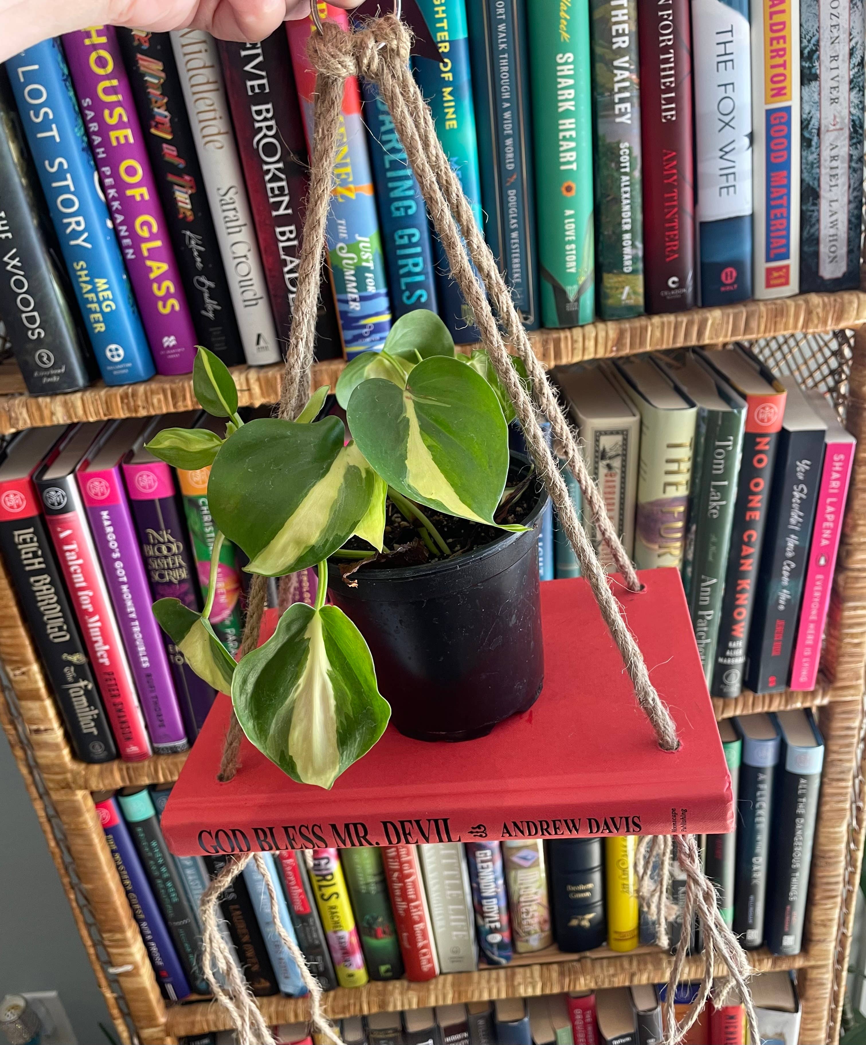 Bookish Bloom Shelf Planter