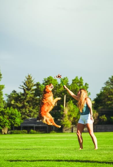 Funkey Flinger Rabbit Toy