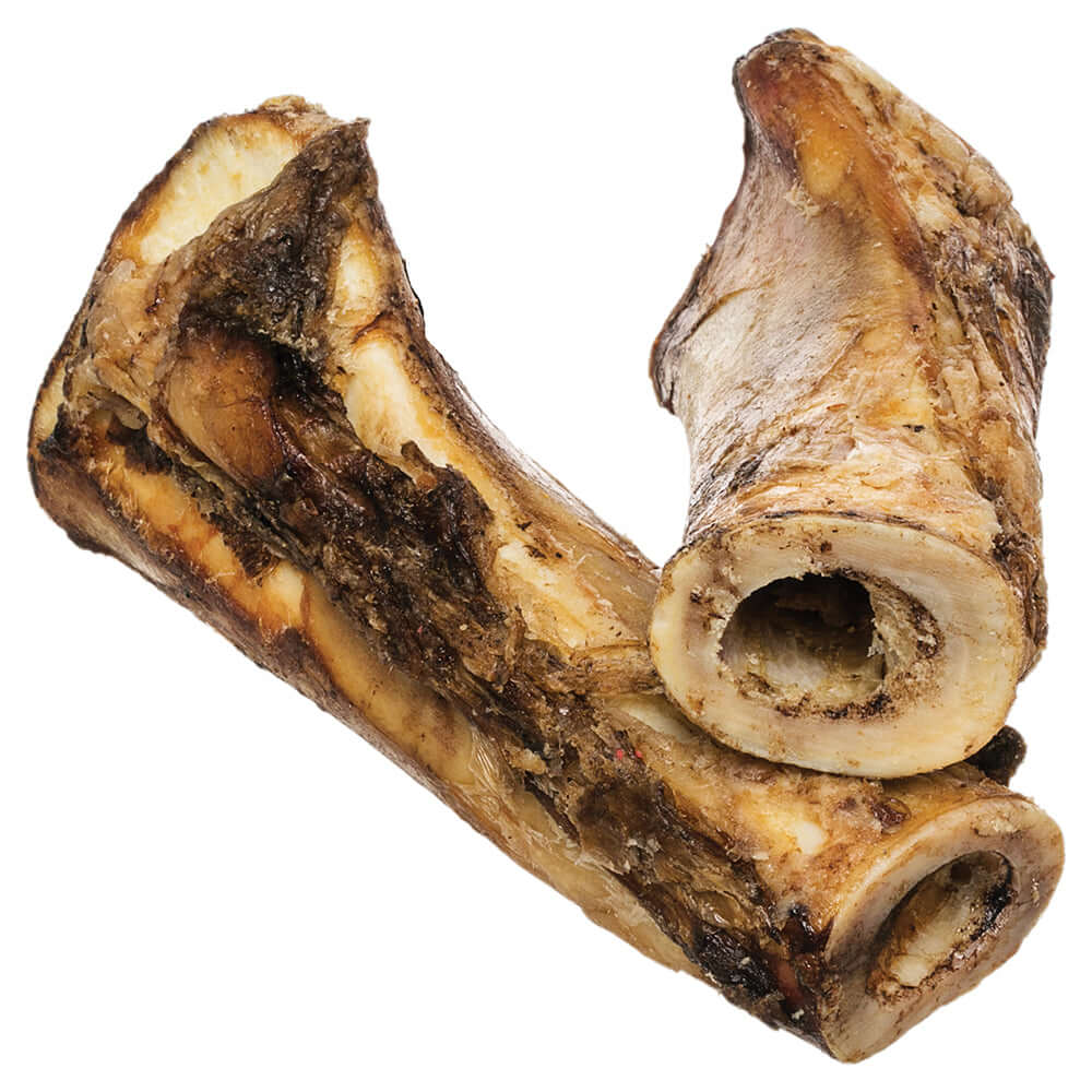 RB MEATY FEMAR BONE  9IN
