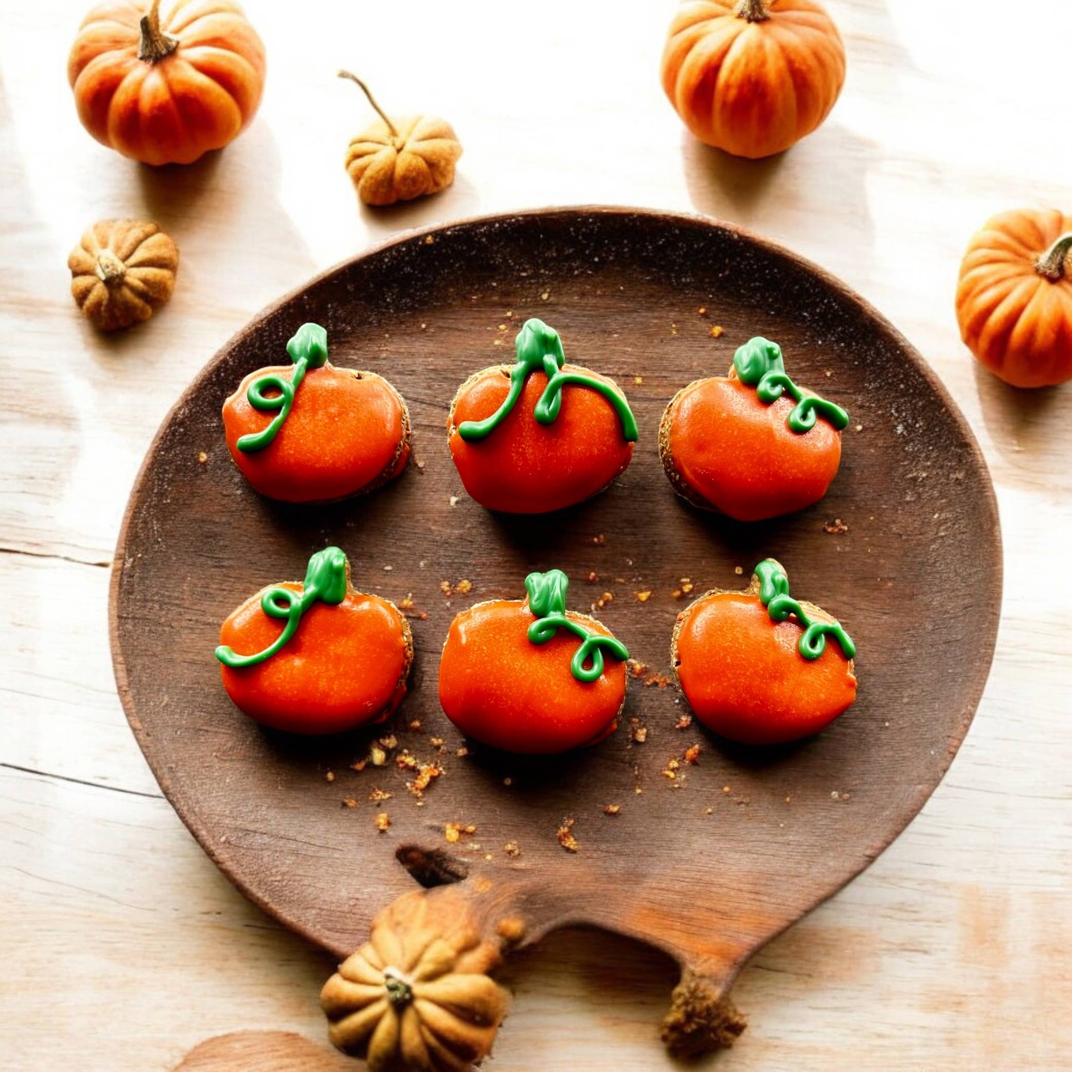 Mini Pumpkin dog treats
