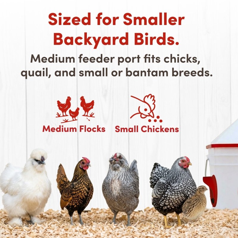 RentACoop Chick2Chicken 10lb Feeder & 2 Gal Waterer Set
