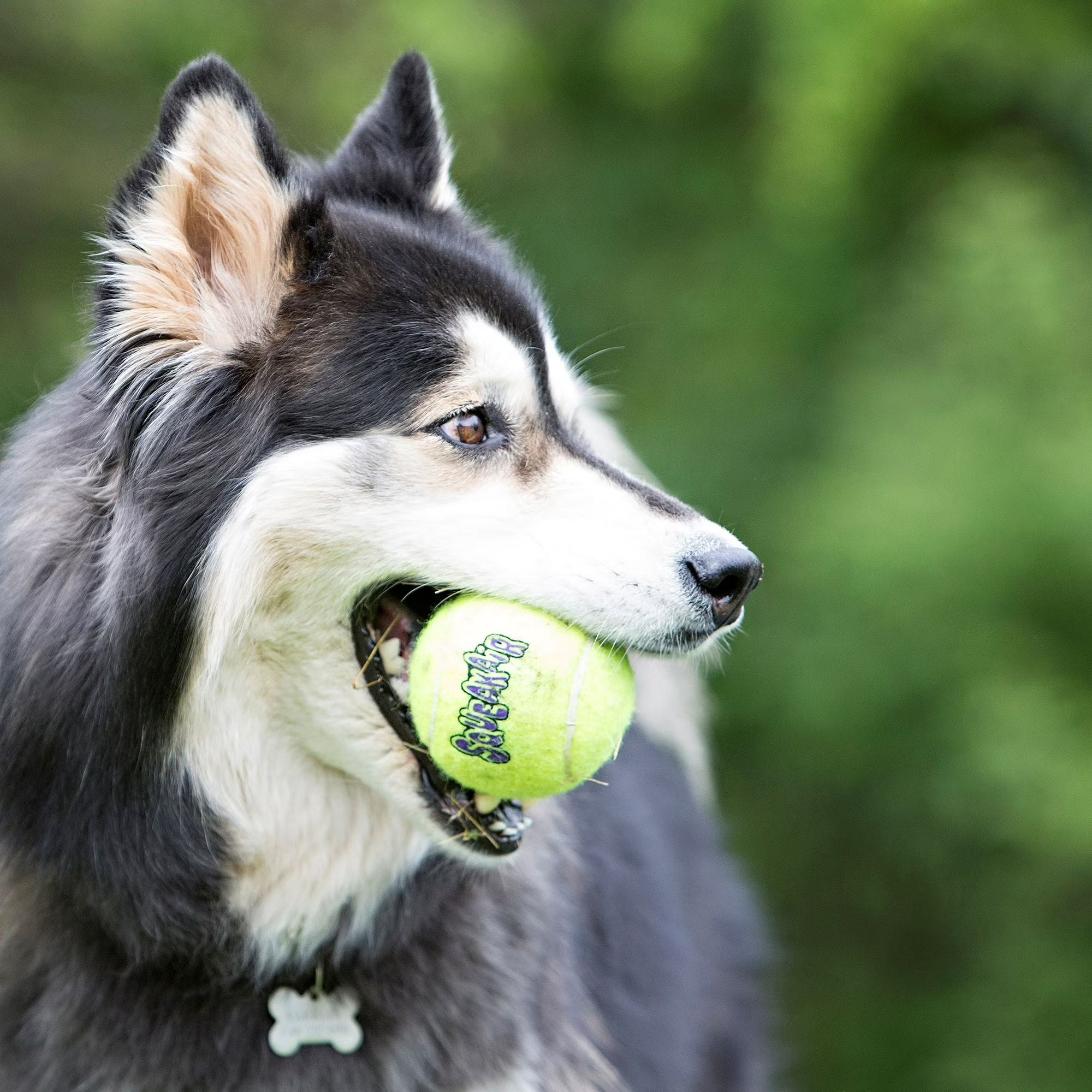 SQUEAKER TENNIS SML 3PK