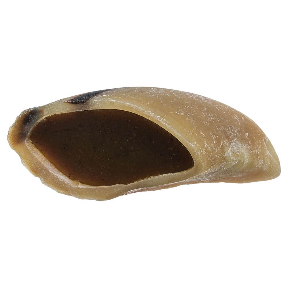 FILLED HOOF DOG TREAT BEEF
