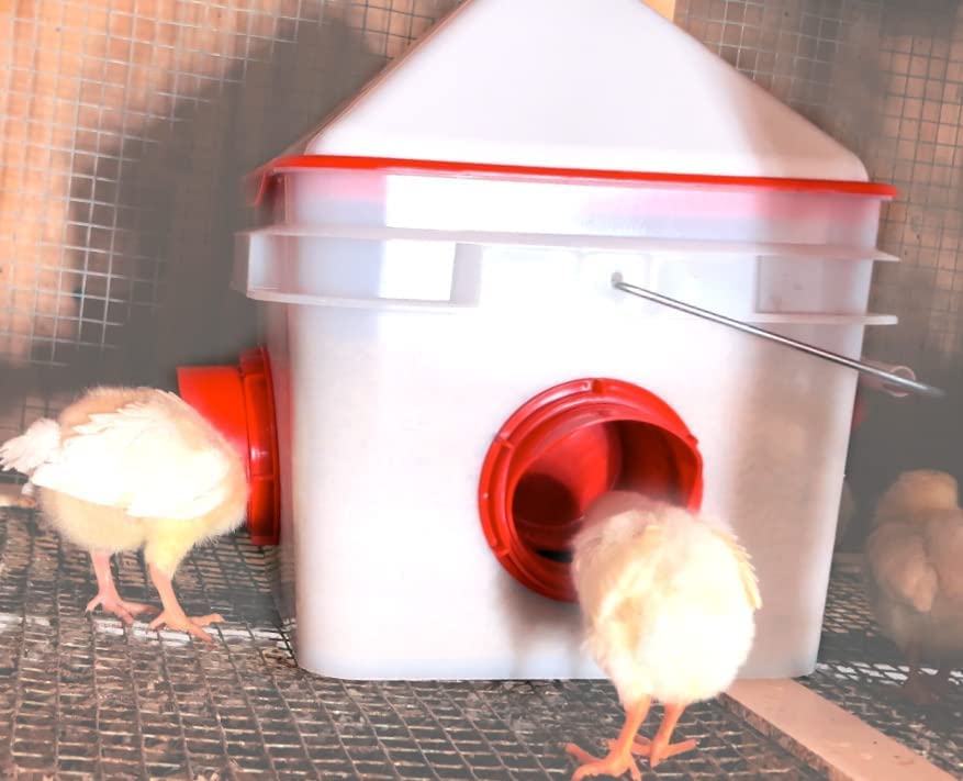 10lb Chick2Chicken BPA-Free 4-Port Chicken Feeder - 2025 Version