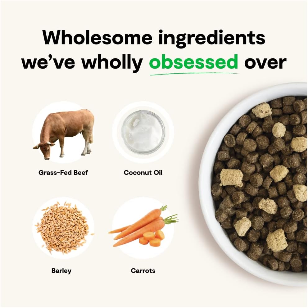 OPEN FARM RAWMIX FR AG 20LB