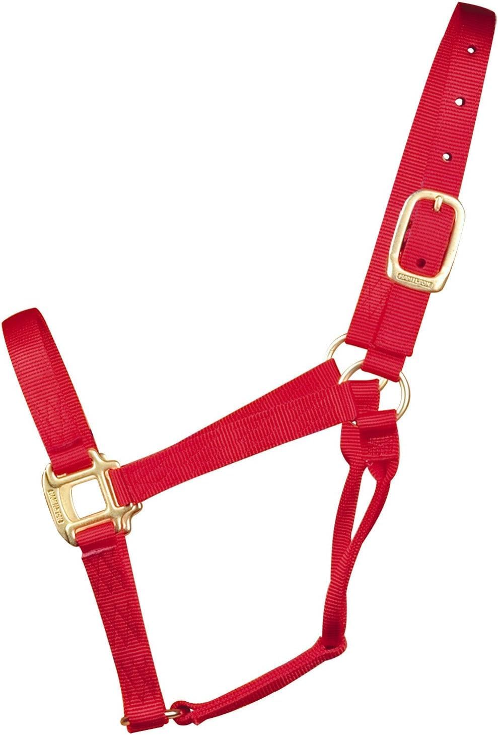 Hamilton Quality Horse Halter, 1" Triple Ply Nylon, Yearling or Standard Donkey, 300-500 lbs, Red