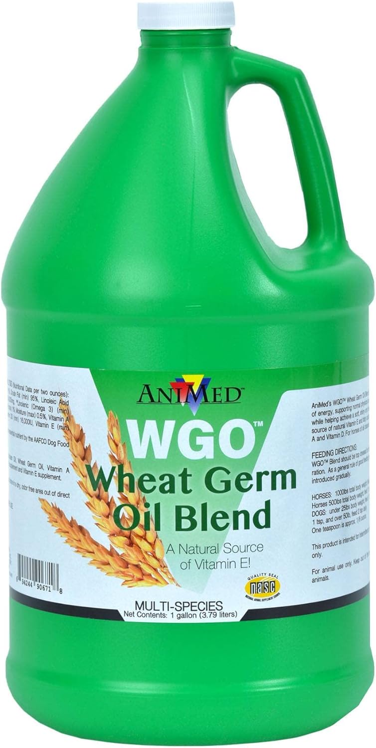 WHEAT GERM OIL 1 GAL
