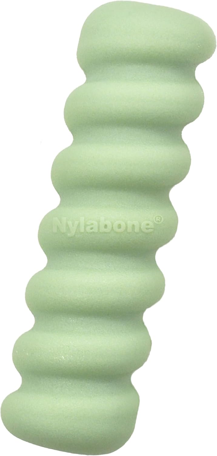Nylabone Puppy Teething Toy