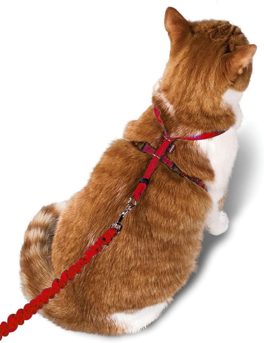 COME KITTY HARN S RED