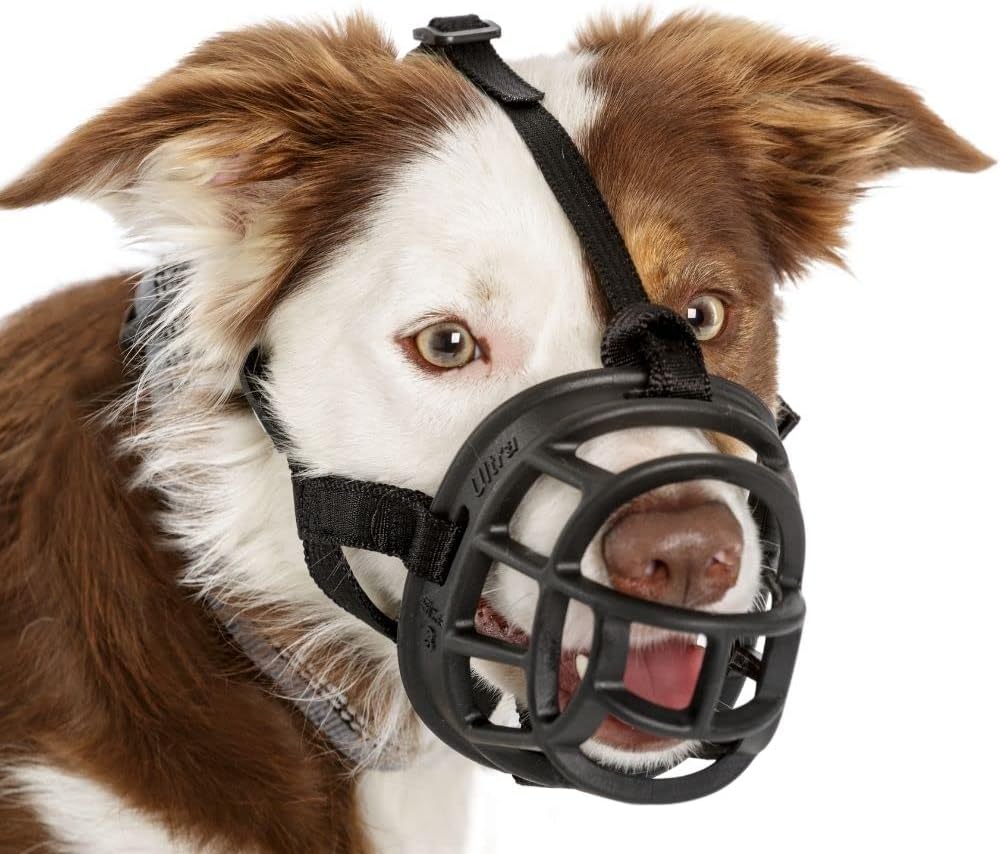 TCOA Baskerville Muzzle Size 3