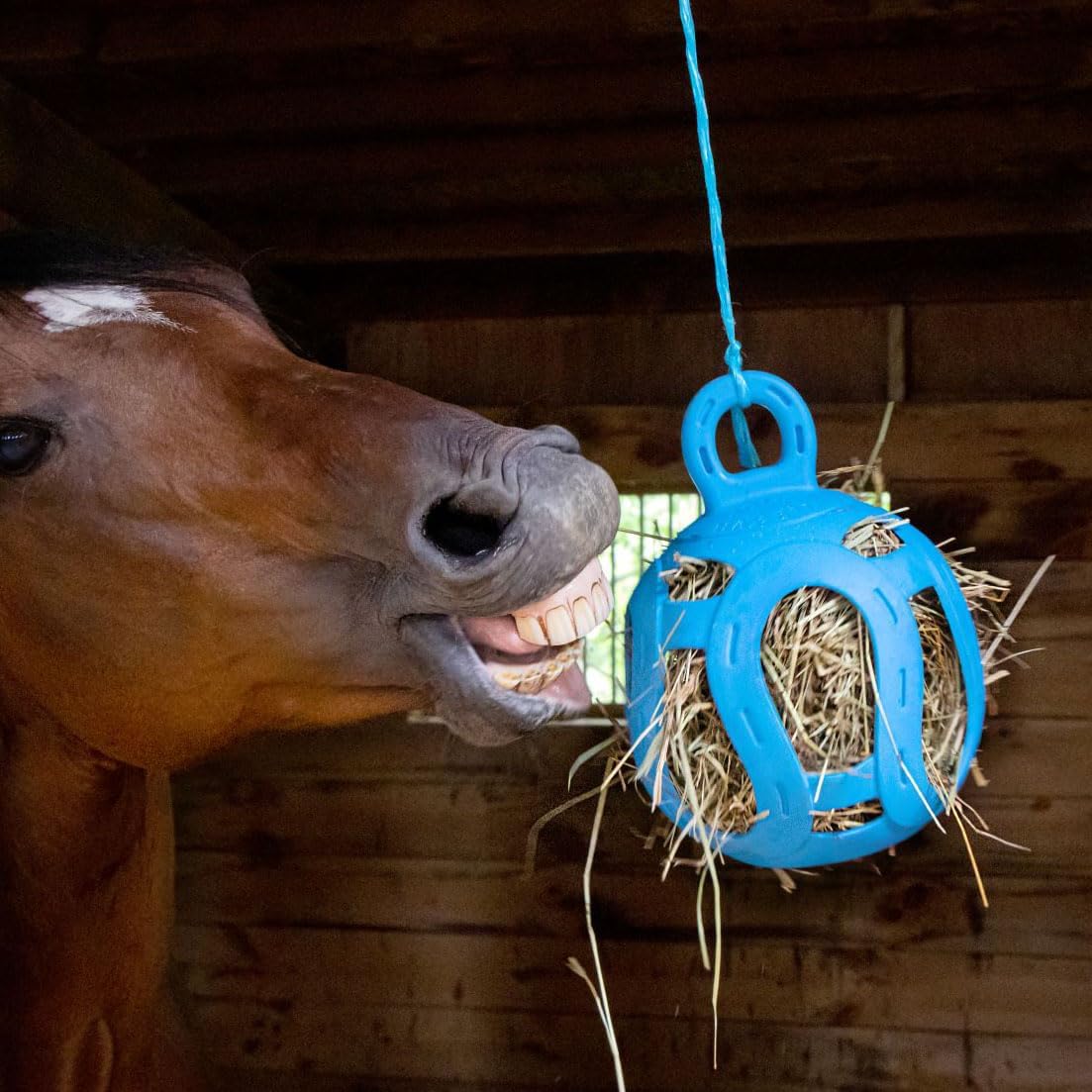 JOLLY 8" HAY BALL BLUE