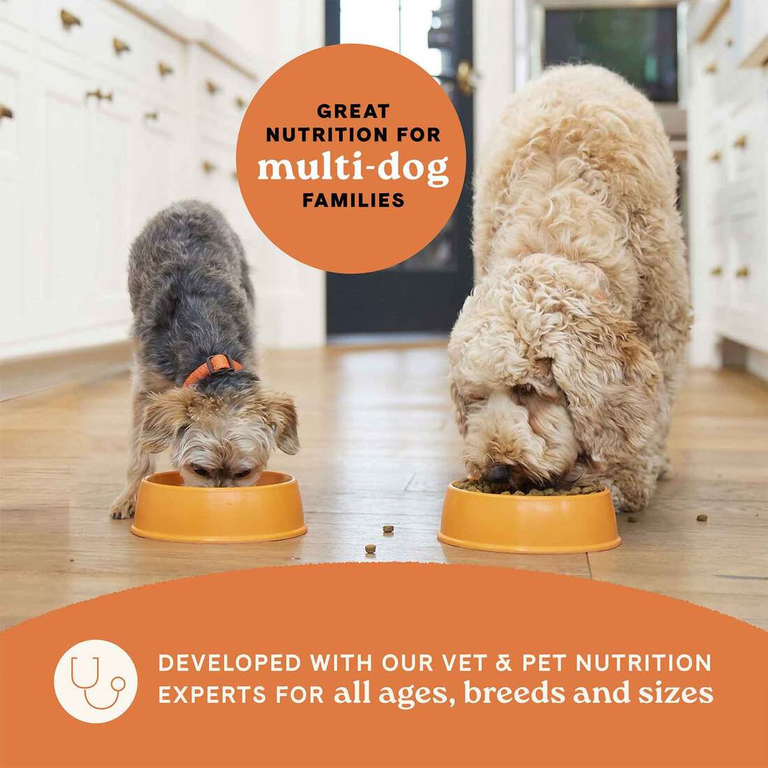 Canidae All Life Stages Dry Dog Food Multi-Protein Recipe 5lb