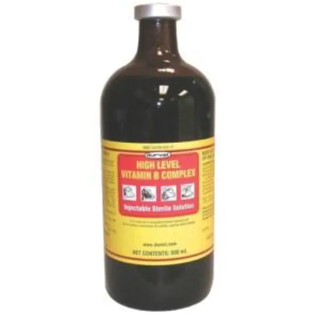 HI-LEVEL B COMPLEX 100ml DURVE