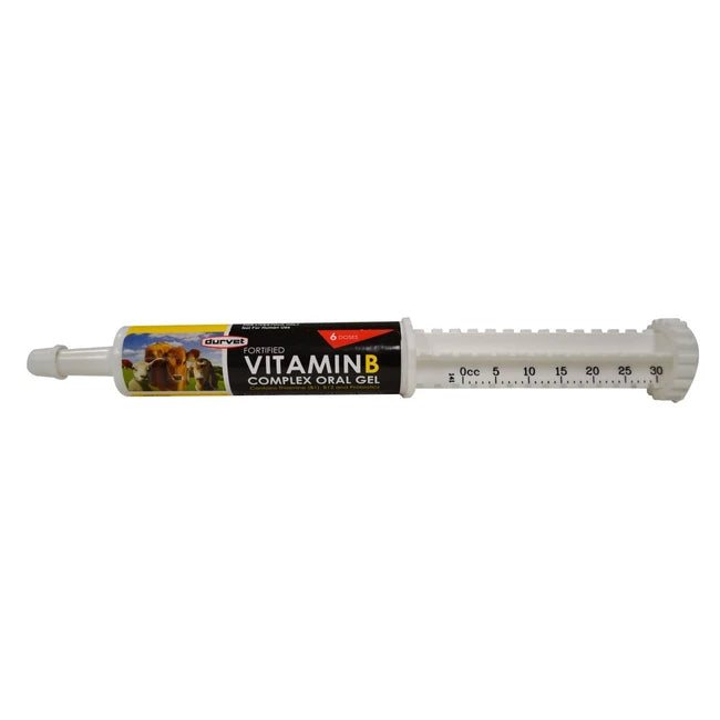 VITAMIN B COMPLEX ORAL GEL30ml