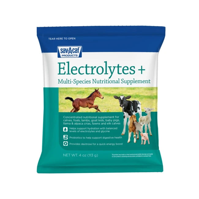 Electrolites Plus 6oz