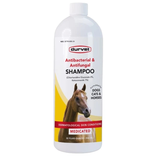 ANTIB & ANTIFUNGAL SHAM 32oz