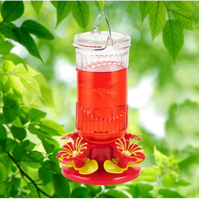 HUMBRD FEEDER STARGAZER GLS