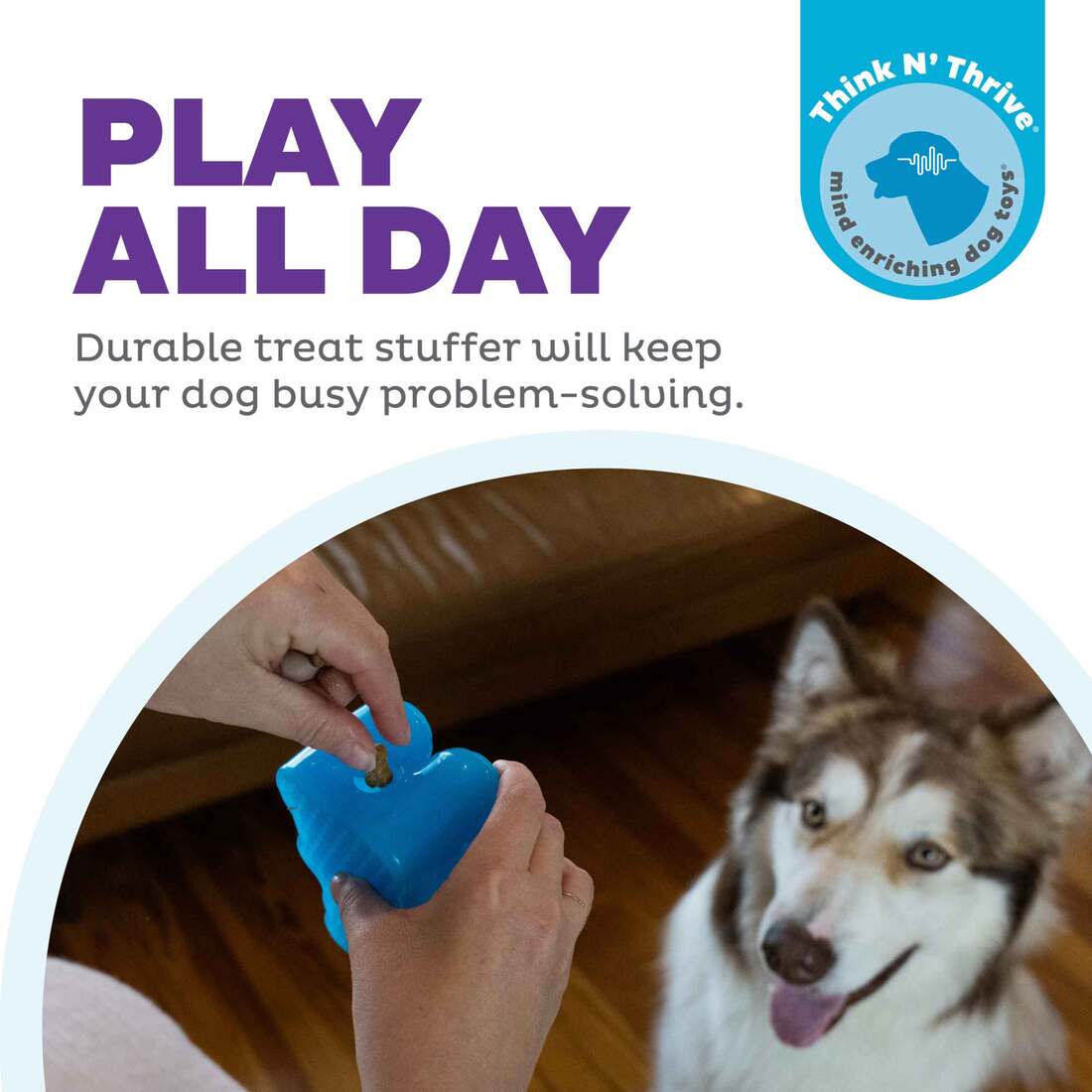 OWH Gummiez dog treat stuffer