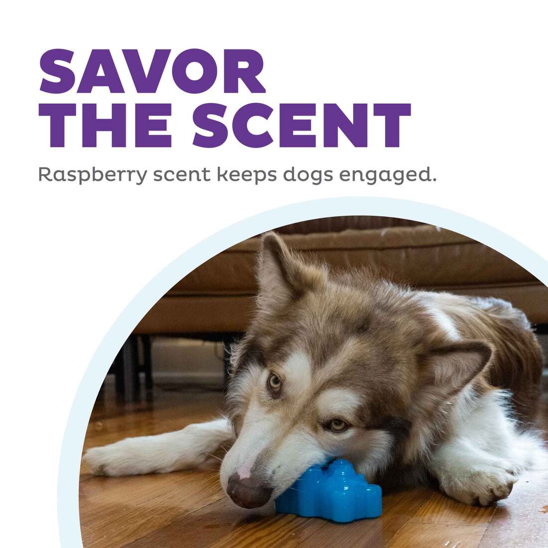 OWH Gummiez dog treat stuffer