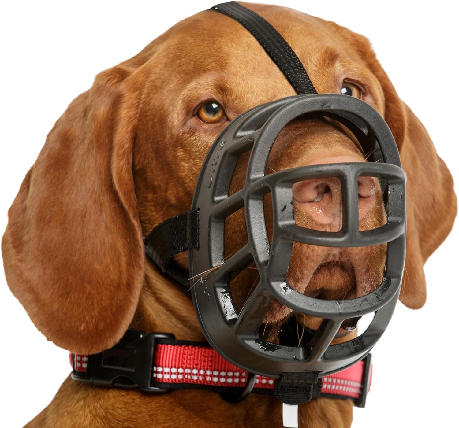 TCOA Baskerville Muzzle Size 4